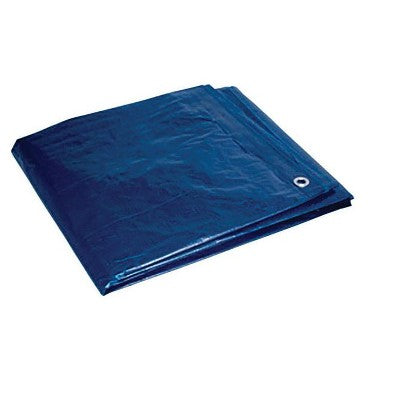 Foremost 10 Ft. W X 12 Ft. L Heavy Duty Polyethylene Tarp Blue