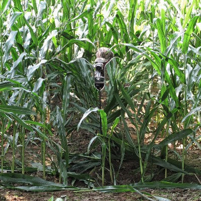  GhostBlind Predator Blind, Pop-Up Mirror Ground Hunting Blind