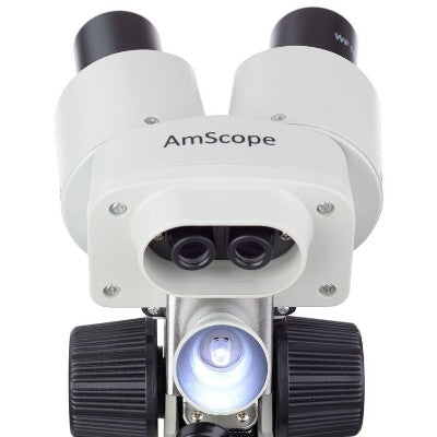  Premium Rock And Mineral Collecting Kit With Kids' 20X Portable Dual-Light Stereo Microscope - AmScope