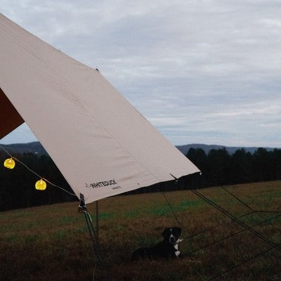  WHITE DUCK Sunshade Tarp – DYNATEK Canvas Outdoor Shelter With Poles, Ropes & Carry Bag – Water-Repellent, Weatherproof Shade Cover