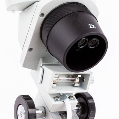  Dual Halogen Light Stereo Microscope With 20X To 80X Magnification - AmScope