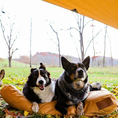  WHITE DUCK Sunshade Tarp – DYNATEK Canvas Outdoor Shelter With Poles, Ropes & Carry Bag – Water-Repellent, Weatherproof Shade Cover